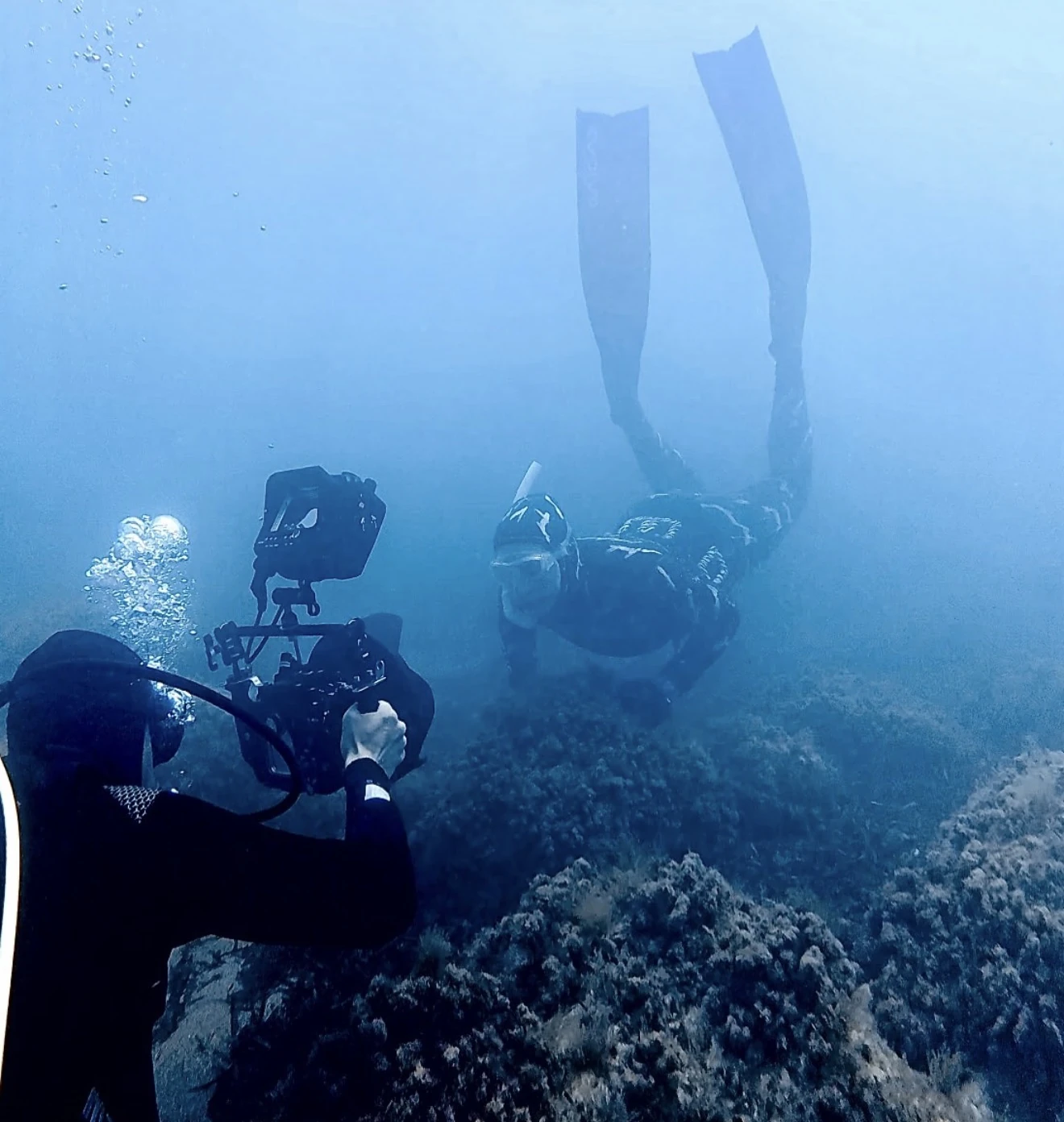 Evolve Apnea collaboration