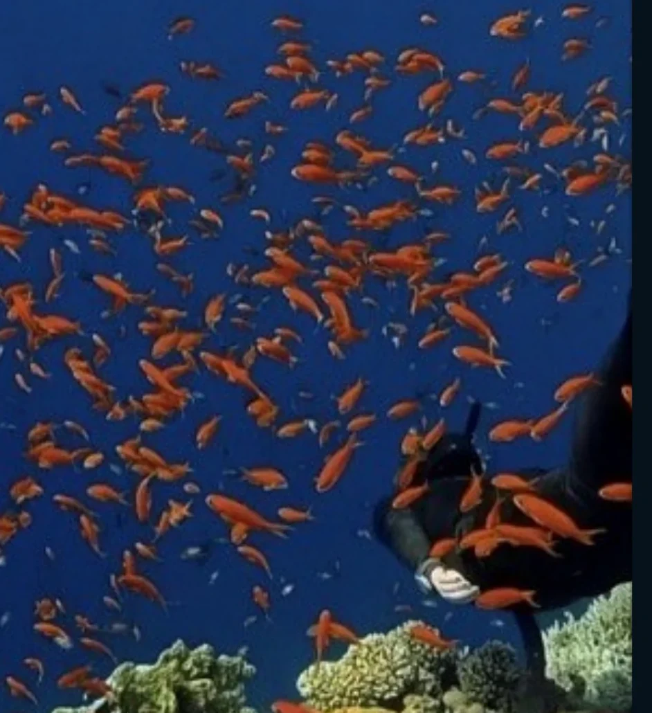Underwater storytelling