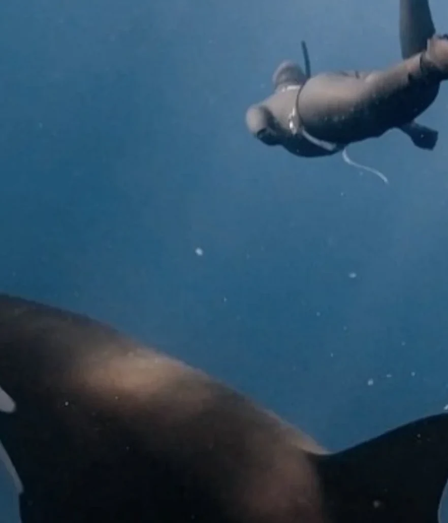 Lake Iseo underwater