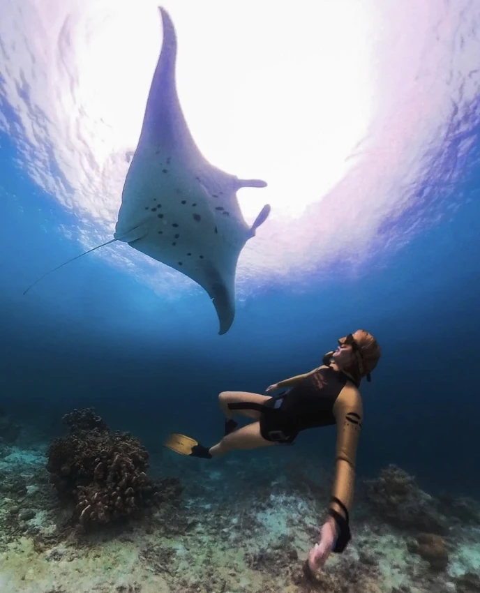 Camilla underwater with manta ray