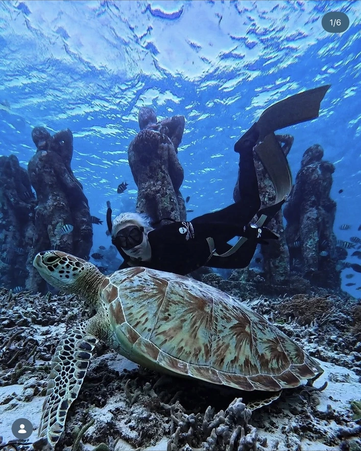 Sea Shepherd ambassador collaboration