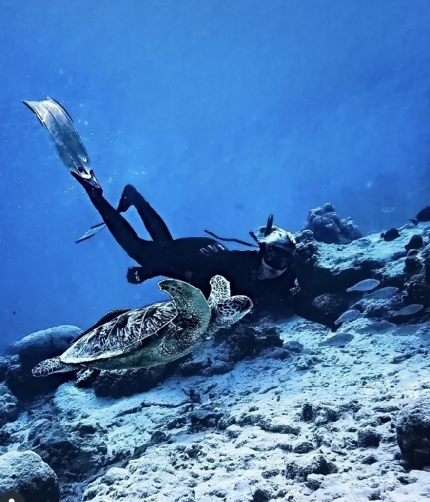 Underwater freediving with turtle